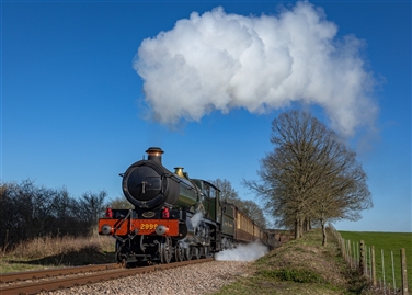 The Bluebell Lunch Experience